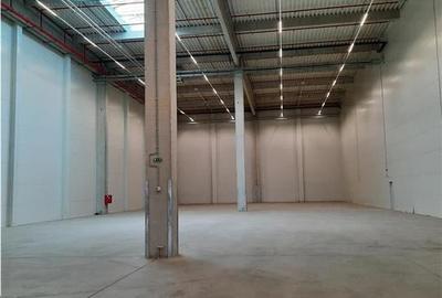 Spatiu Industrial - 7500 mp - Logistica - Productie - Depozitare - Distributie - 7