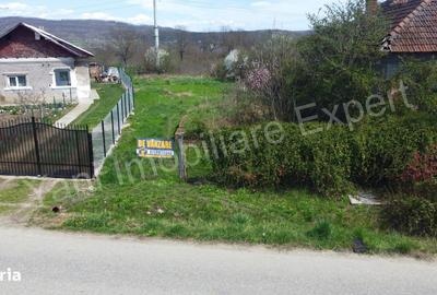 Teren de 3595 mp, în Merișani - 10