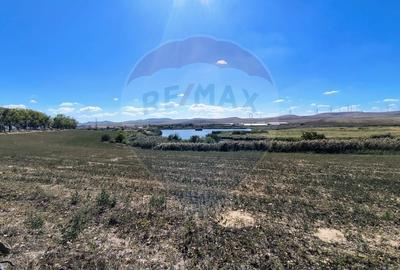 Teren agricol extravilan de 10000 mp, în Mihail Kogălniceanu - 9