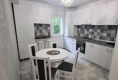 Apartament 2 camere decomandat, RENOVAT COMPLET, langa Comat TOWERS - 2