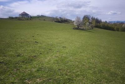 Teren de 9800 mp, în Poșaga - 5