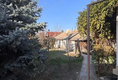 Casă cu Teren 1500 Mp în Turnu - 7