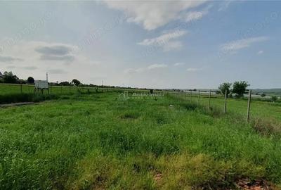 Casa cu teren - ST 329 mp - TEREN 23 ari - Moara - 19