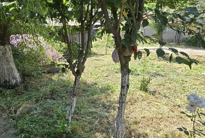 Teren si casa batraneasca - 1