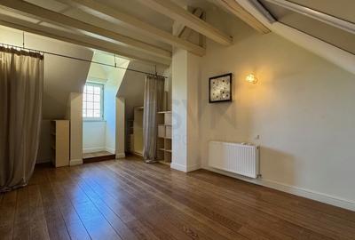 REV2005064 Vila de vanzare I Teren 1100 mp I Iancu Nicolae stil frantuzesc - 25