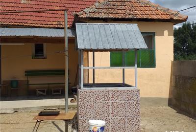 Casă cu 3 camere cu Teren 10000 Mp în Gherteniș - 11