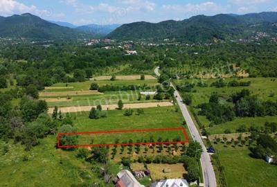 Teren de vanzare in comuna Domne?ti, jude? Arge?. - 9