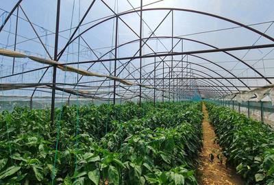 Afacere la cheie! Incasari din prima zi!!! - 2