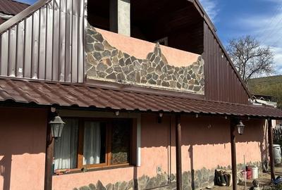 Casă cu 2 camere în Mureșeni - 7