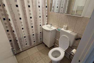 Apartament cu 2 camere în Aleea Carpați - 7