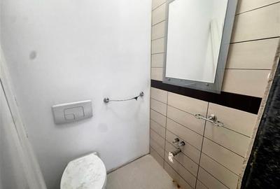 Apartament cu 2 camere, curte 100 mp, garaj si boxa, Zona Bulevardul Independent - 4