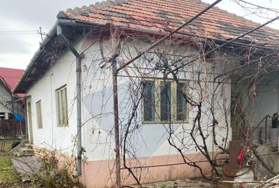 Casă cu 3 camere cu Teren 5000 Mp în Central - 20
