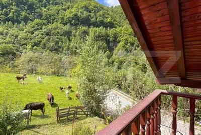 Casa de vacanta cu 4 camere, 1470 mp teren, Sugag - 1