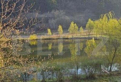 Casă cu 7 camere cu Teren 3500 Mp în Central - 2