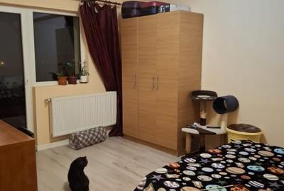 Apartament cu 2 camere, mobilat în Ozana - 10