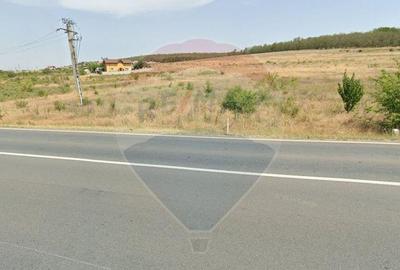 Teren de 9964 mp, în Aeroport - 3