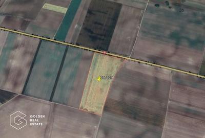 11 ha teren extravilan la DN 7 Seitin-Nandlac. Oportunitate de investitie! - 2