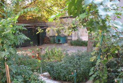 PTA VICTORIEI - VILA 521 MP UTILI, TEREN 587 MP! - 5