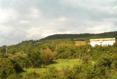 Teren de 14000 mp, în Central - 5