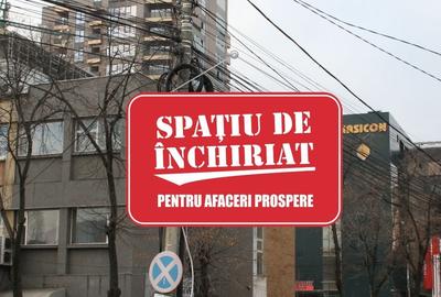 Birou, 89 mp în Palat