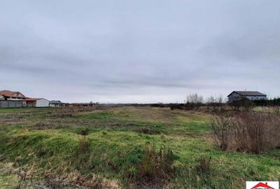 Teren intravilan 12216 mp in Vetis construibil - 6