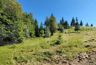 Teren de vanzare la Tihu?a Loca?ie turistica, ideal - 5