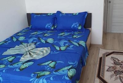 Apartament cu 2 camere semidecomandat, mobilat în Apărătorii Patriei - 4