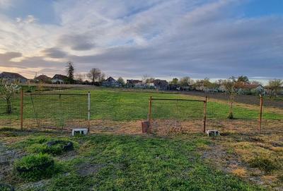 Casă cu 3 camere cu Teren 2000 Mp în Turnu - 4