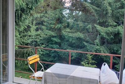 Casă cu 3 camere cu Teren 860 Mp în Băișoara - 15