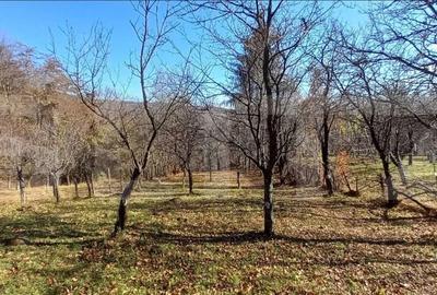 Teren de 29863 mp, în Pucheni