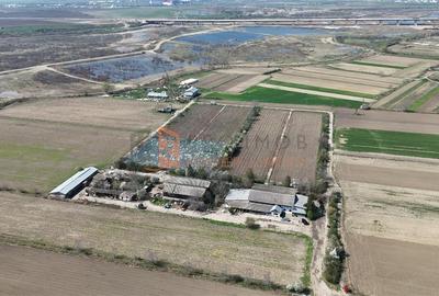 Oportunitate in domeniul agricol teren + constructii zona Scurtesti - 2