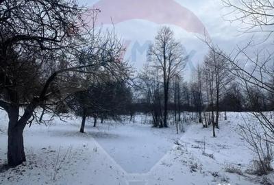 Teren de 10054 mp, în Mănăstirea - 4