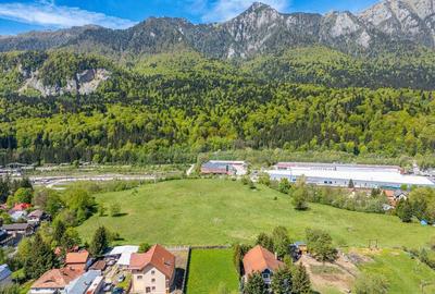 Teren intravilan pentru construc?ii in sta?iunea monta... - 2