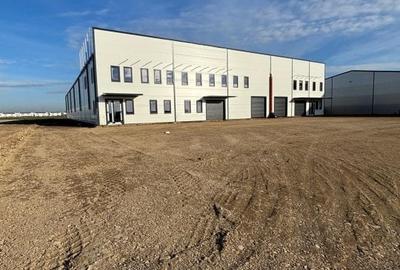 Hala industriala de vanzare - Dimieni, Balotesti (DJ 200B)
