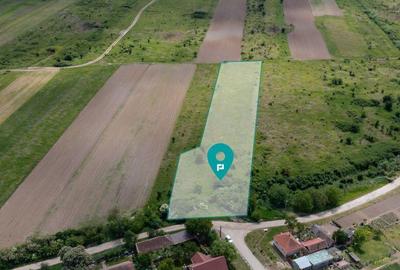 Teren extravilan Urseni, Timis - 11