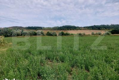 Teren de 27500 mp, în Iclod