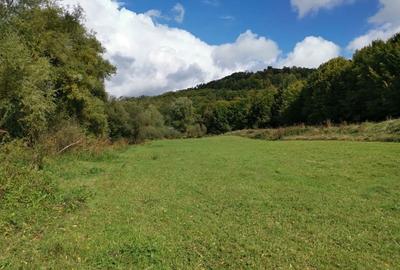 Teren de 3000 mp, în Boiu Mare - 5