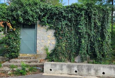 Teren Podgoria de vanzare - 1