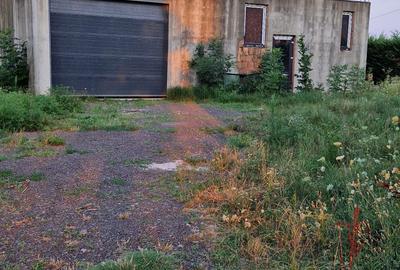 Casă cu 4 camere în Zimandu Nou - 1