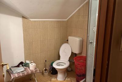 Casă cu 4 camere în Biharia - 4