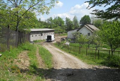 Teren în Toculești - 2