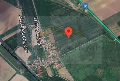 Teren Construcții intravilan de 954 mp, în Tânganu - 3
