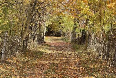 Teren Premium 1559 mp, Brebu Manastirei Refugiu Montan la 120 km de Bucuresti, - 4