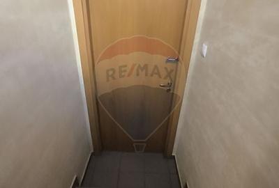 Vila de vanzare Buna ziua Vila de vanzare Buna ziua - 45