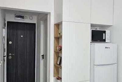 Garsonieră semidecomandată, mobilată în Theodor Pallady - 20