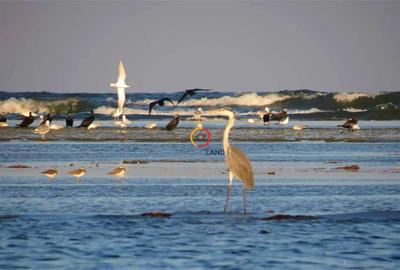 Teren 1950mp cu casa batraneasca 45 mp - 6