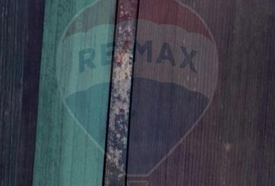 Teren agricol extravilan de 19963 mp, în Mândruloc - 3