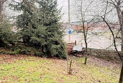 Teren intravilan de 24880 mp, în Griviței - 5