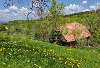 Teren intravilan 3400 mp, in Balaban - Simon, Bran - Brasov