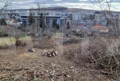Teren de 3500 mp, în Central
